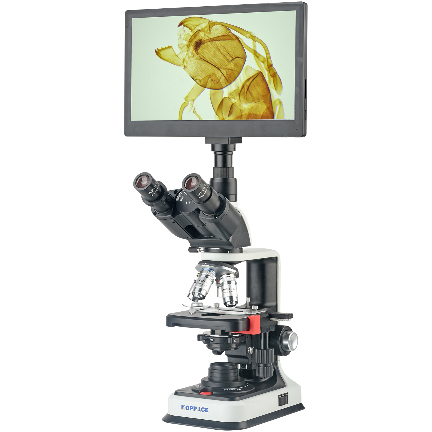 Microscope Compound 40X - KOPPACE 40X-2500X elektronencomposietlaboratoriummicroscoop 2 miljoen pixels