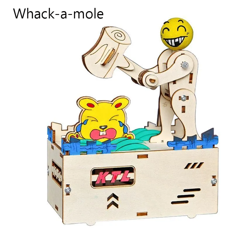 Science Diy Model - DIY-muisval van hout, modelbouwset voor onderwijs,