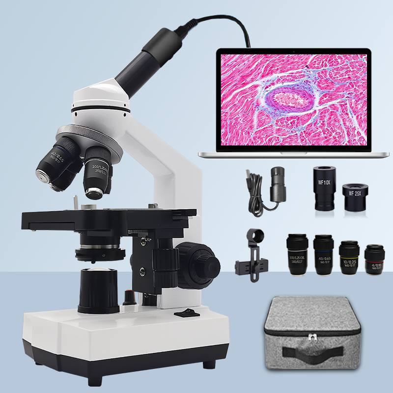 Microscope Compound 40X - 40X-2500X Professionele binoculaire biologische samengestelde microscoop