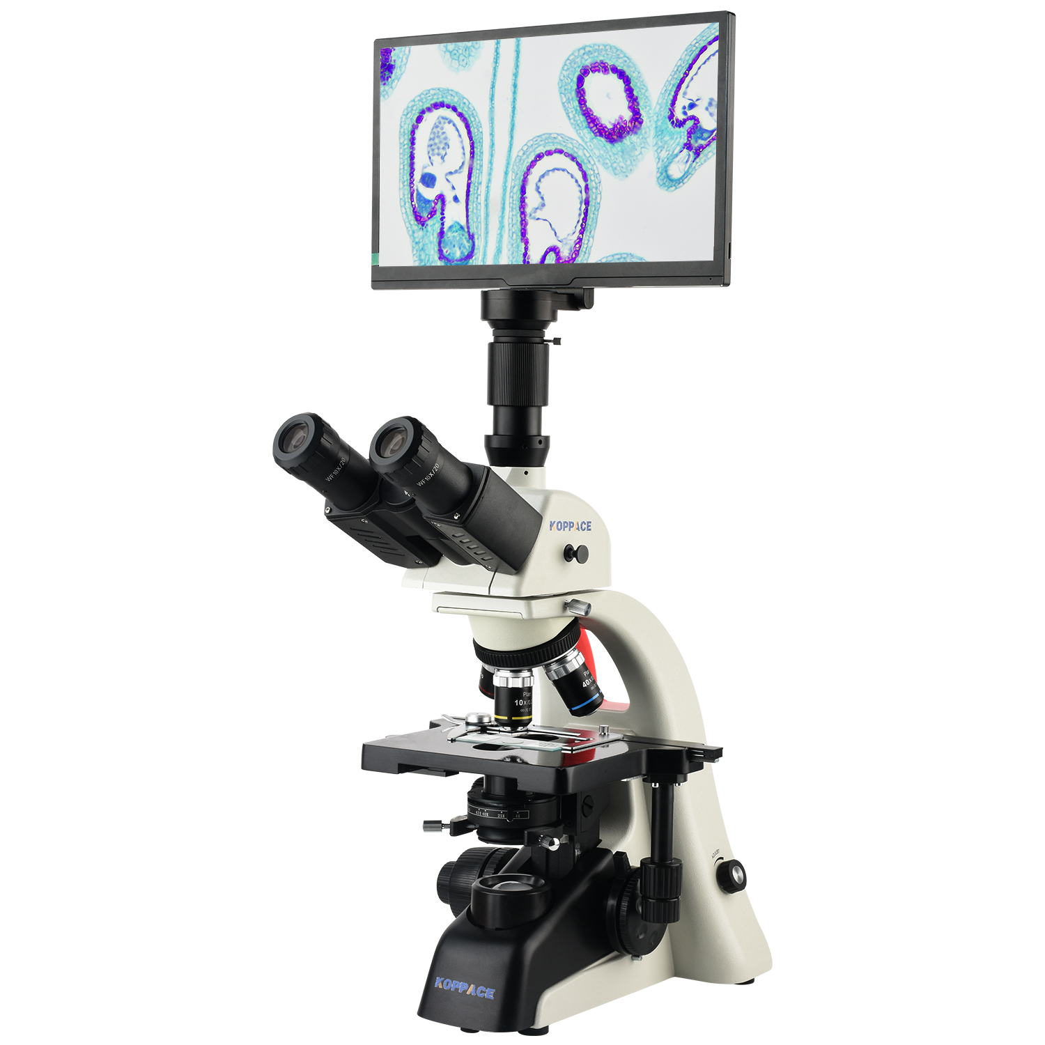 Microscope Compound 40X - KOPPACE 40X-1600X Elektronencomposietlaboratoriummicroscoop 5 miljoen pixels