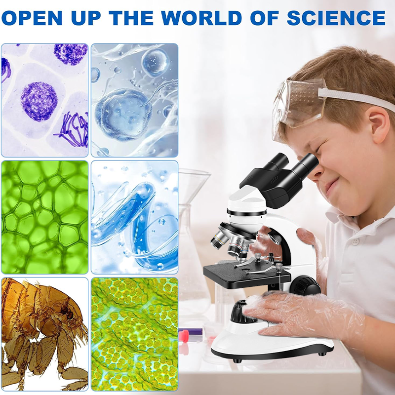 40X-1280X samengestelde binocu - Microscope Compound 40X recensie en prijs