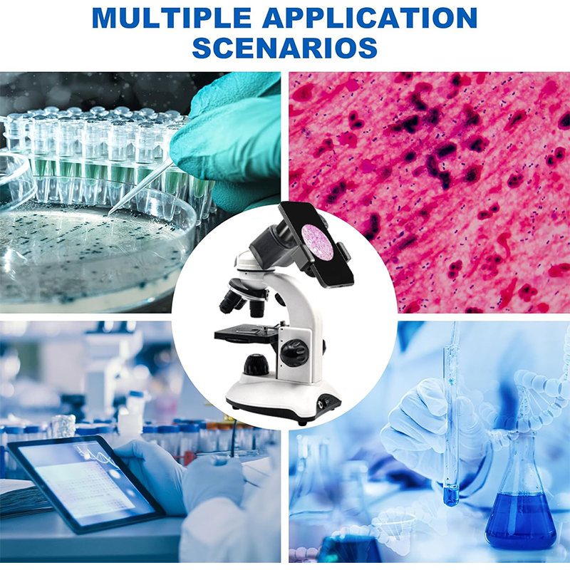 40X-1280X samengestelde binocu - Microscope Compound 40X recensie en prijs