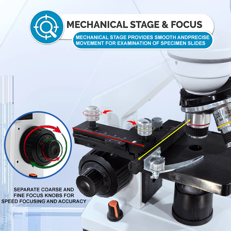 Professionele LED-binoculaire  - Microscope Compound 40X recensie en prijs