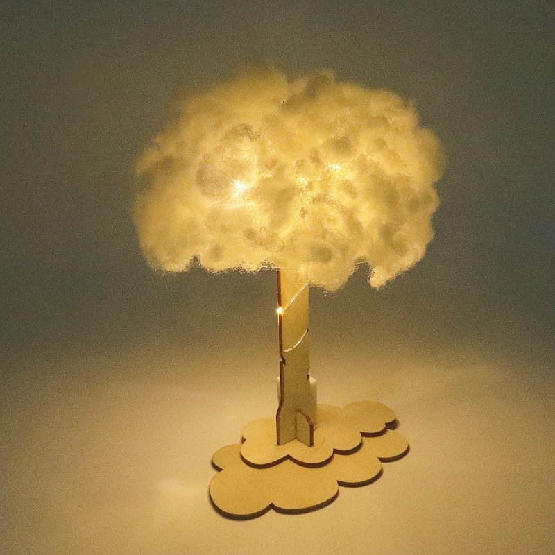 DIY Cloud Lamp Science Experim - Science Project Toys Making recensie en prijs