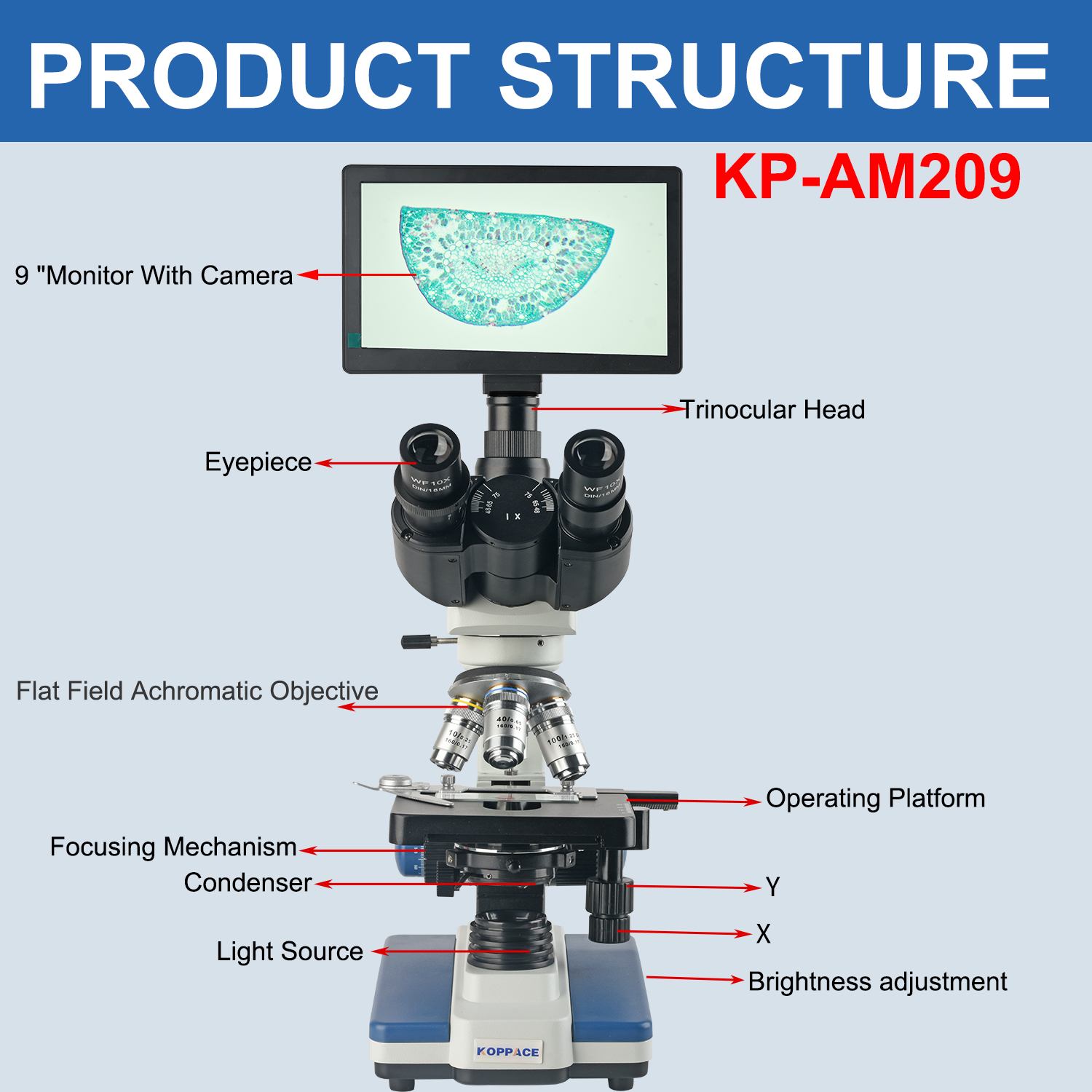 KOPPACE 40X-2500X elektronensa - Microscope Compound 40X recensie en prijs
