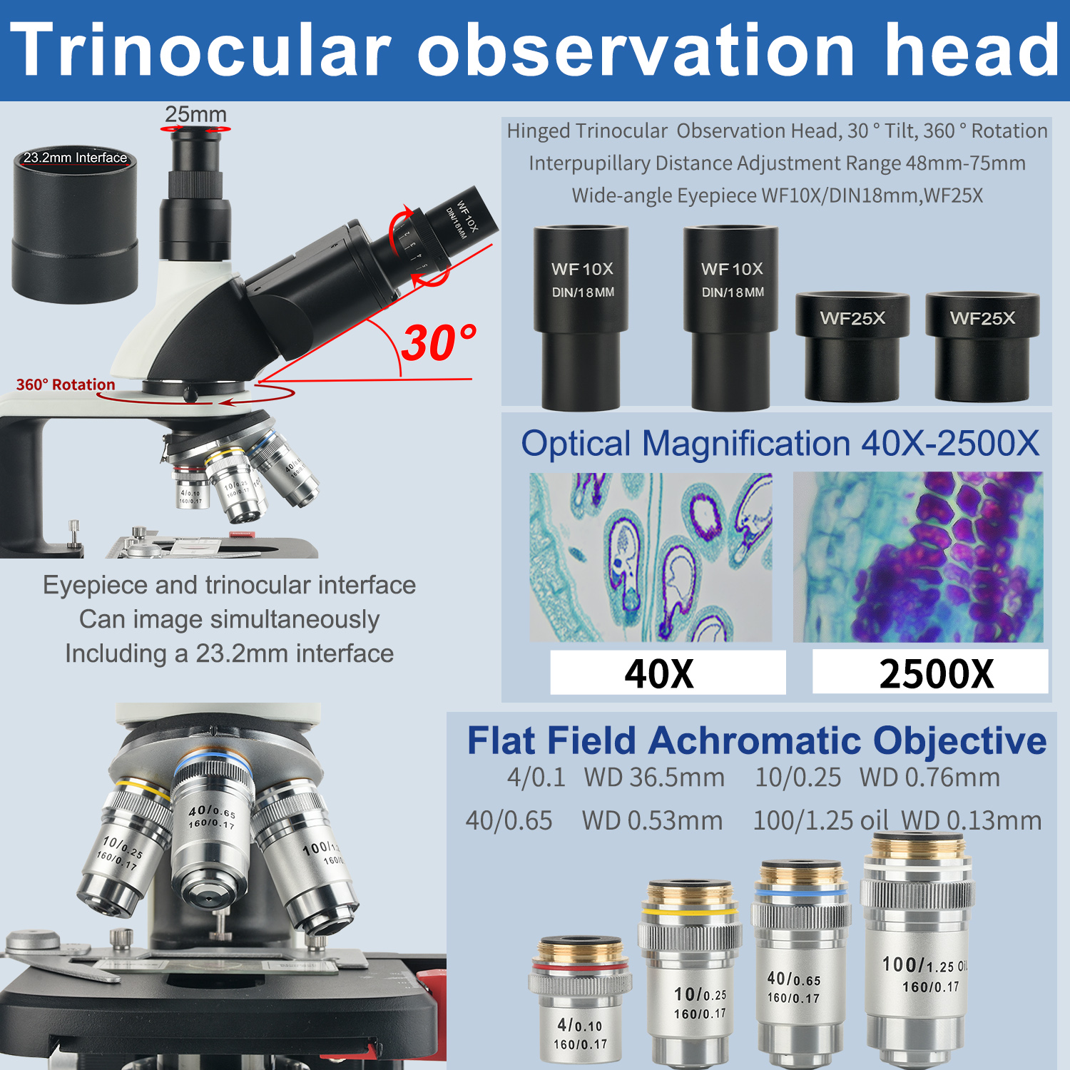 KOPPACE 40X-2500X elektronenco - Microscope Compound 40X recensie en prijs