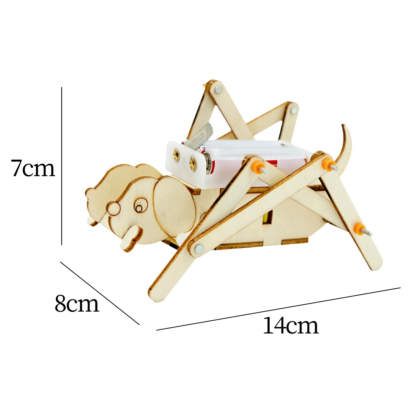 DIY Houten Modelset Wetenschap - Science Project Toys Making recensie en prijs