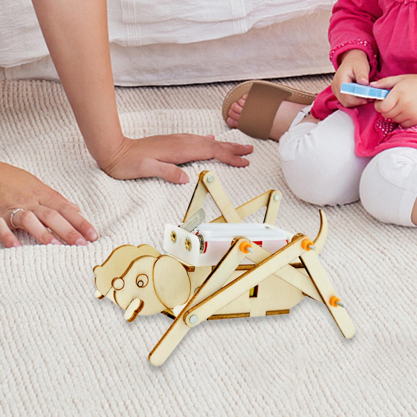 DIY Houten Modelset Wetenschap - Science Project Toys Making recensie en prijs