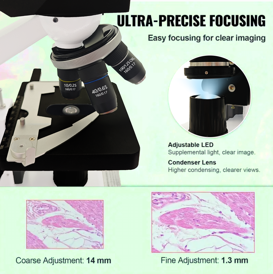 40X-2500X Professionele binocu - Microscope Compound 40X recensie en prijs