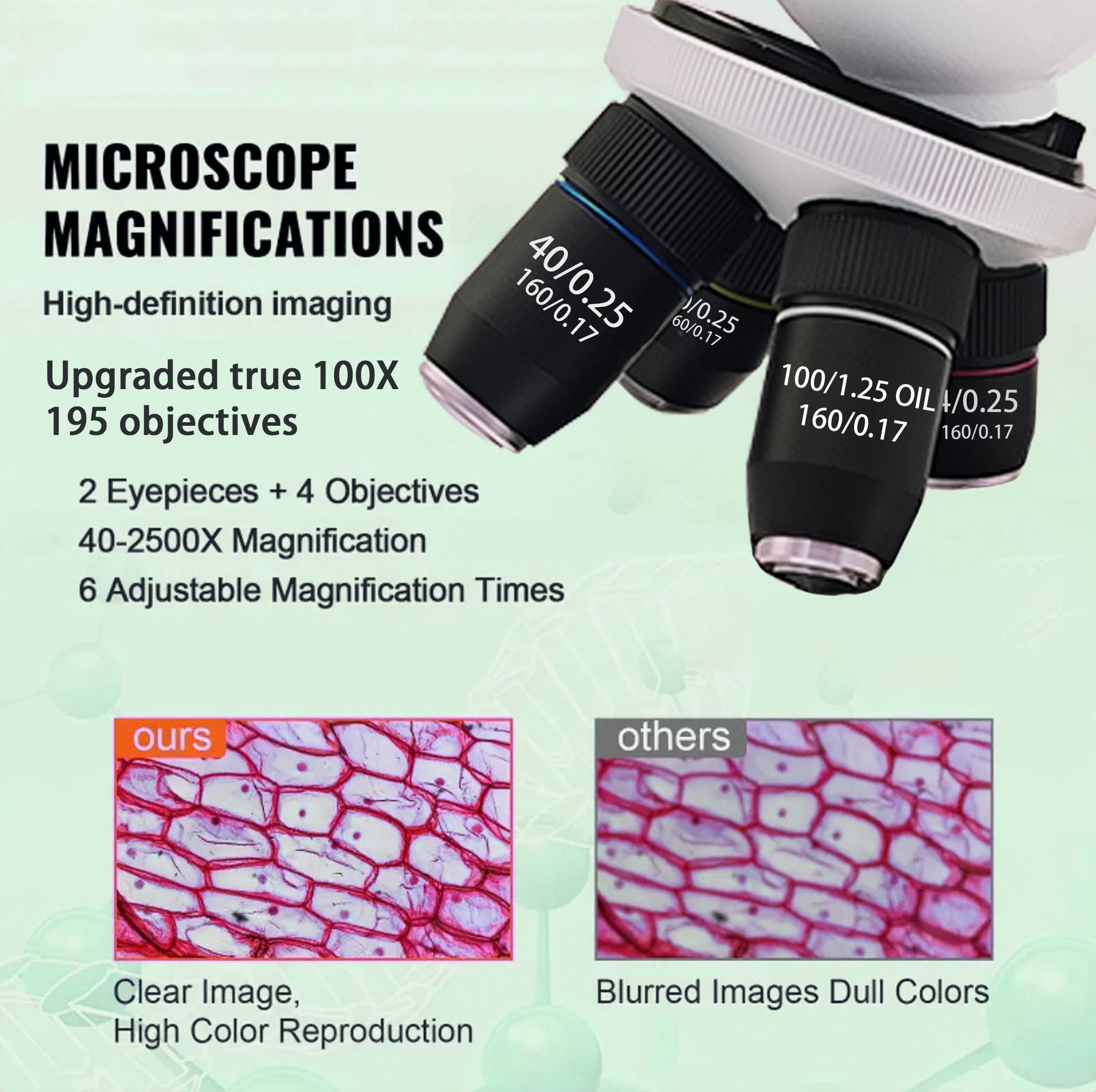 40X-2500X Professionele binocu - Microscope Compound 40X recensie en prijs