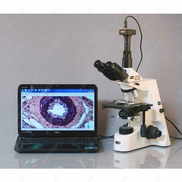 AmScope 40X-2500X Infinity Koh - Microscope Compound 40X recensie en prijs