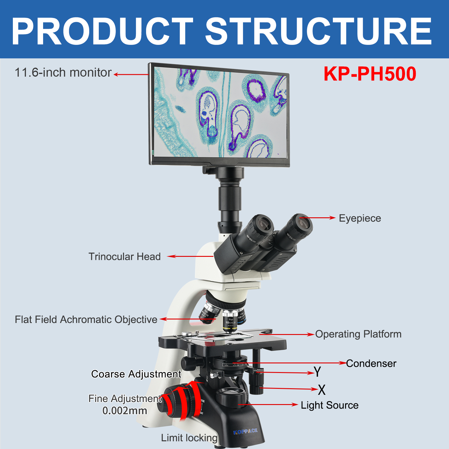 KOPPACE 40X-1600X Elektronenco - Microscope Compound 40X recensie en prijs