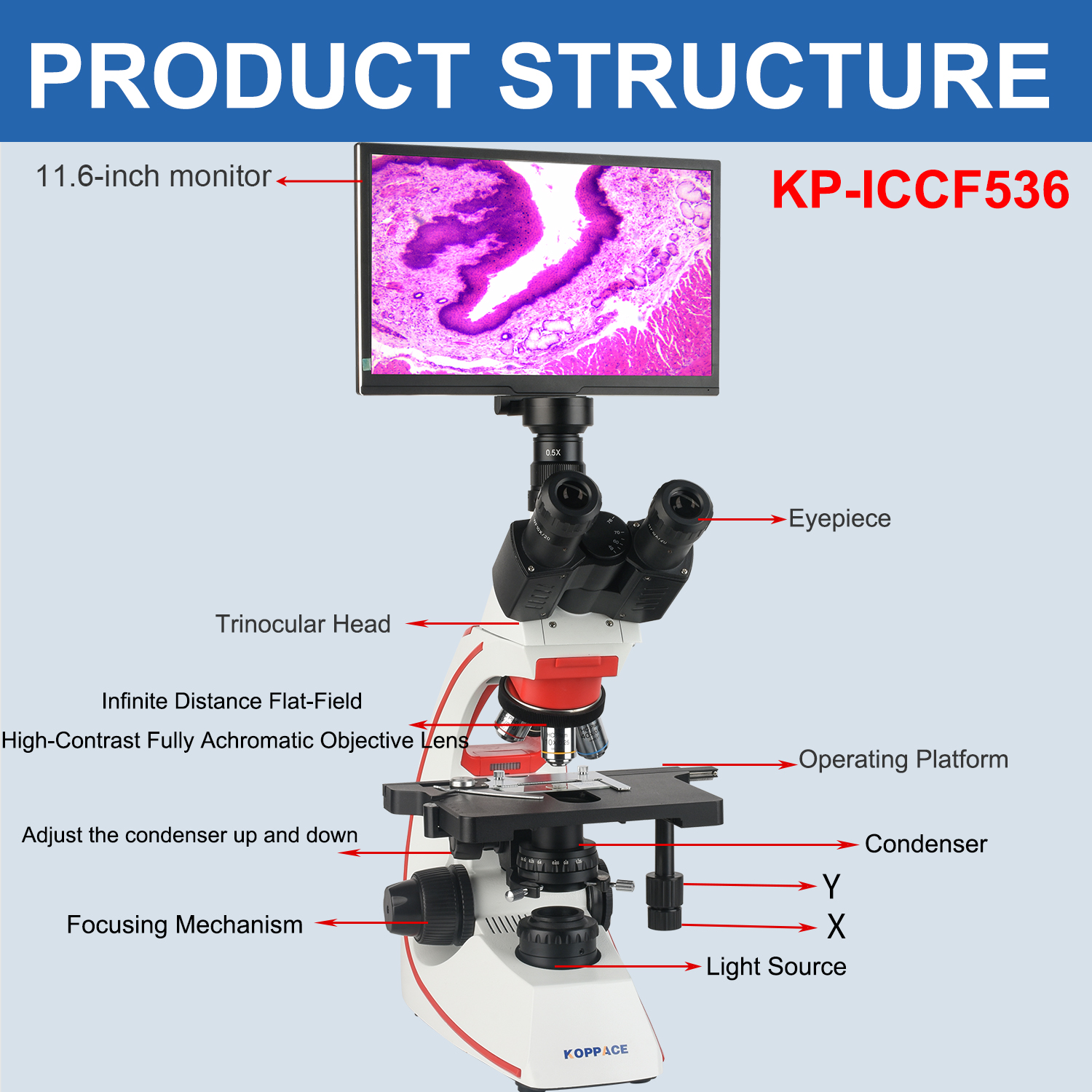 KOPPACE 40X-1600X Compound Lab - Microscope Compound 40X recensie en prijs