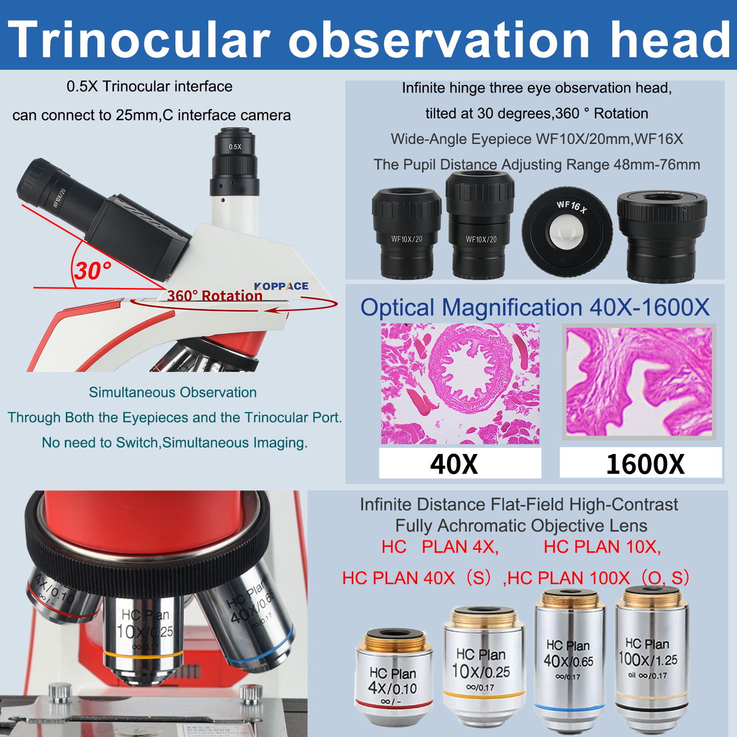 KOPPACE 40X-1600X Compound Lab - Microscope Compound 40X recensie en prijs