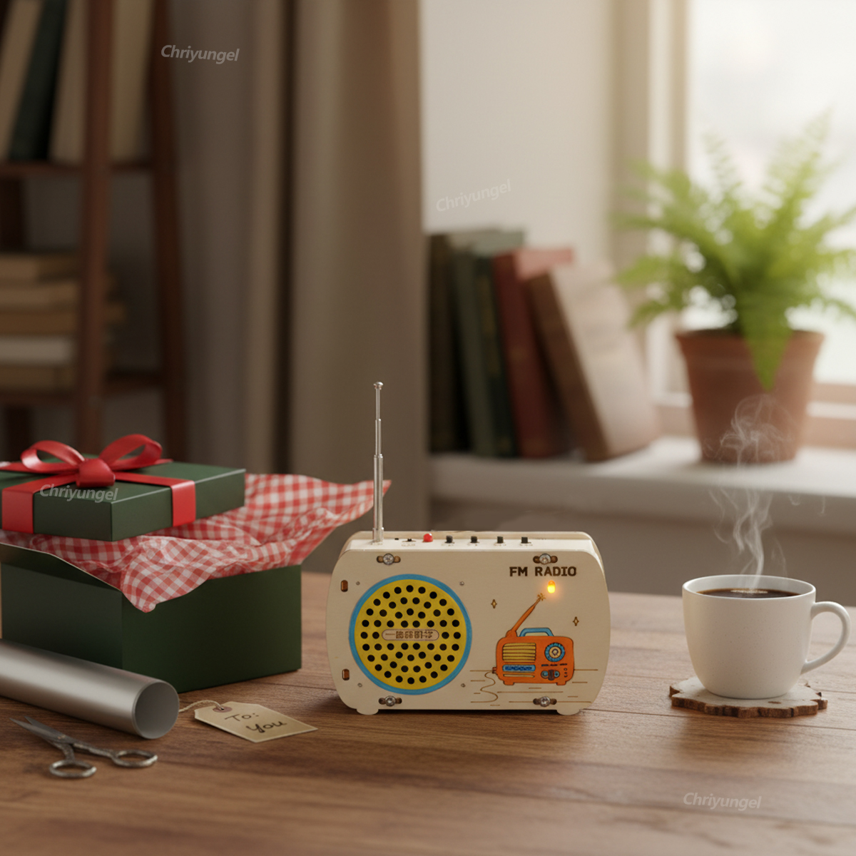 DIY Houten Radio Bouwpakket Re - Science Project Kit recensie en prijs