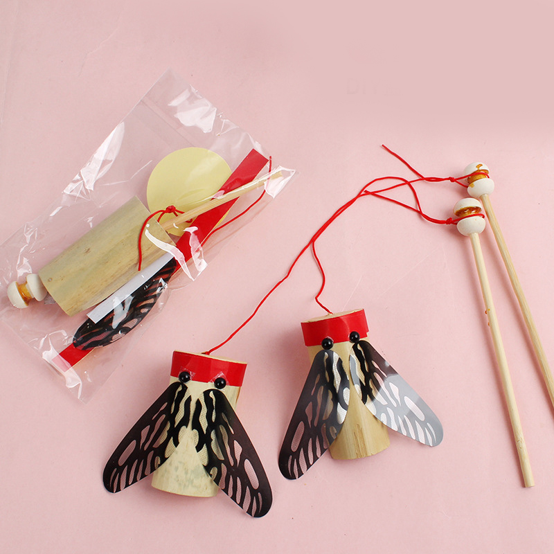 Bamboe Cicade Geluid Maken Spe - Science Project Toys Making recensie en prijs