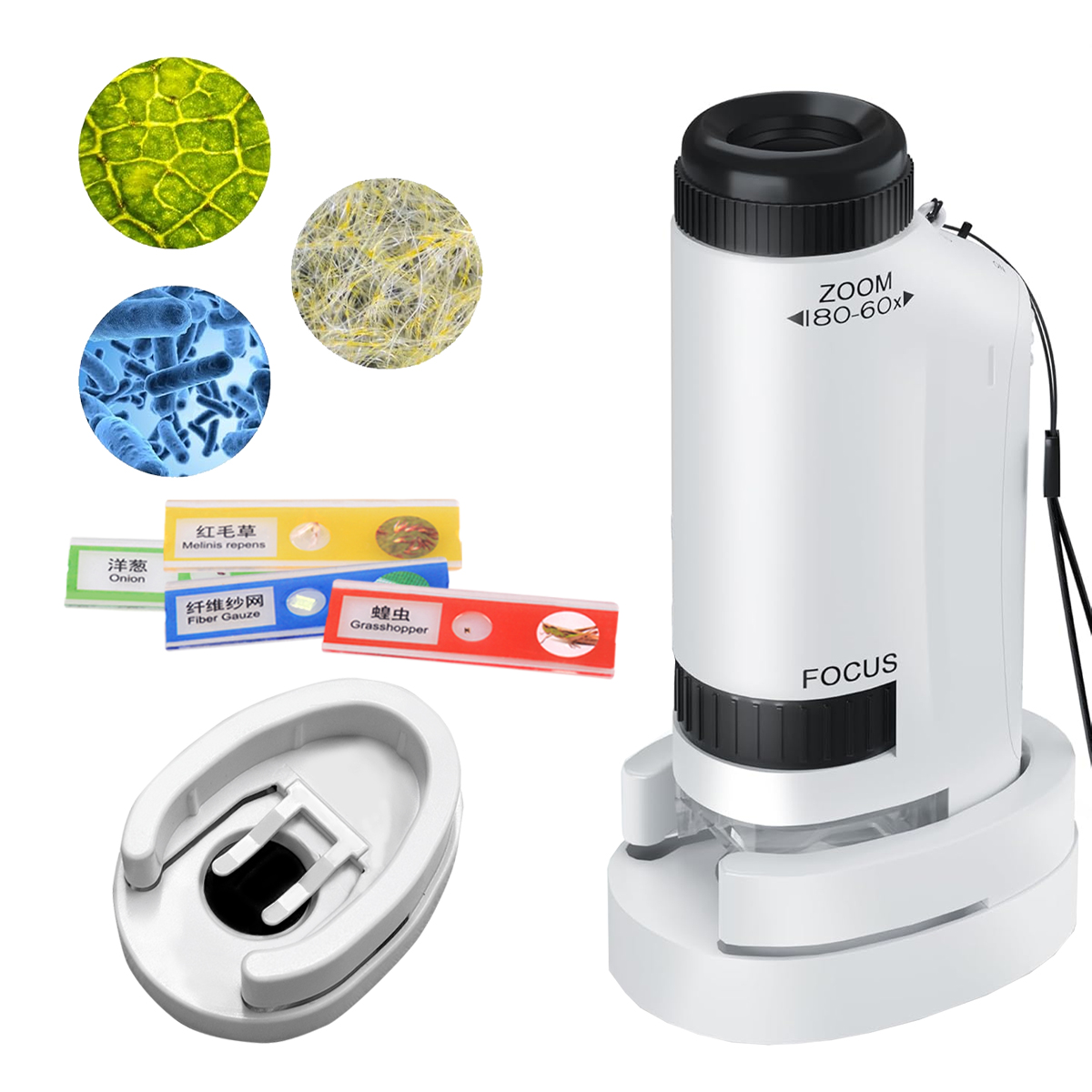 Minicroscoop Handheld speelgoe - Science Max recensie en prijs