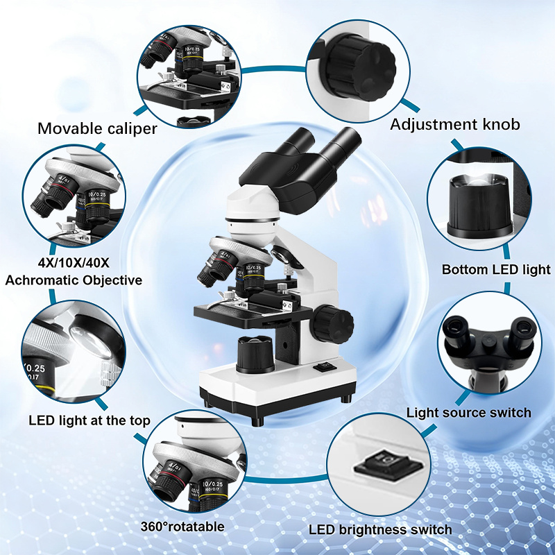 Verrekijker-composietmicroscoo - Microscope Compound 40X recensie en prijs